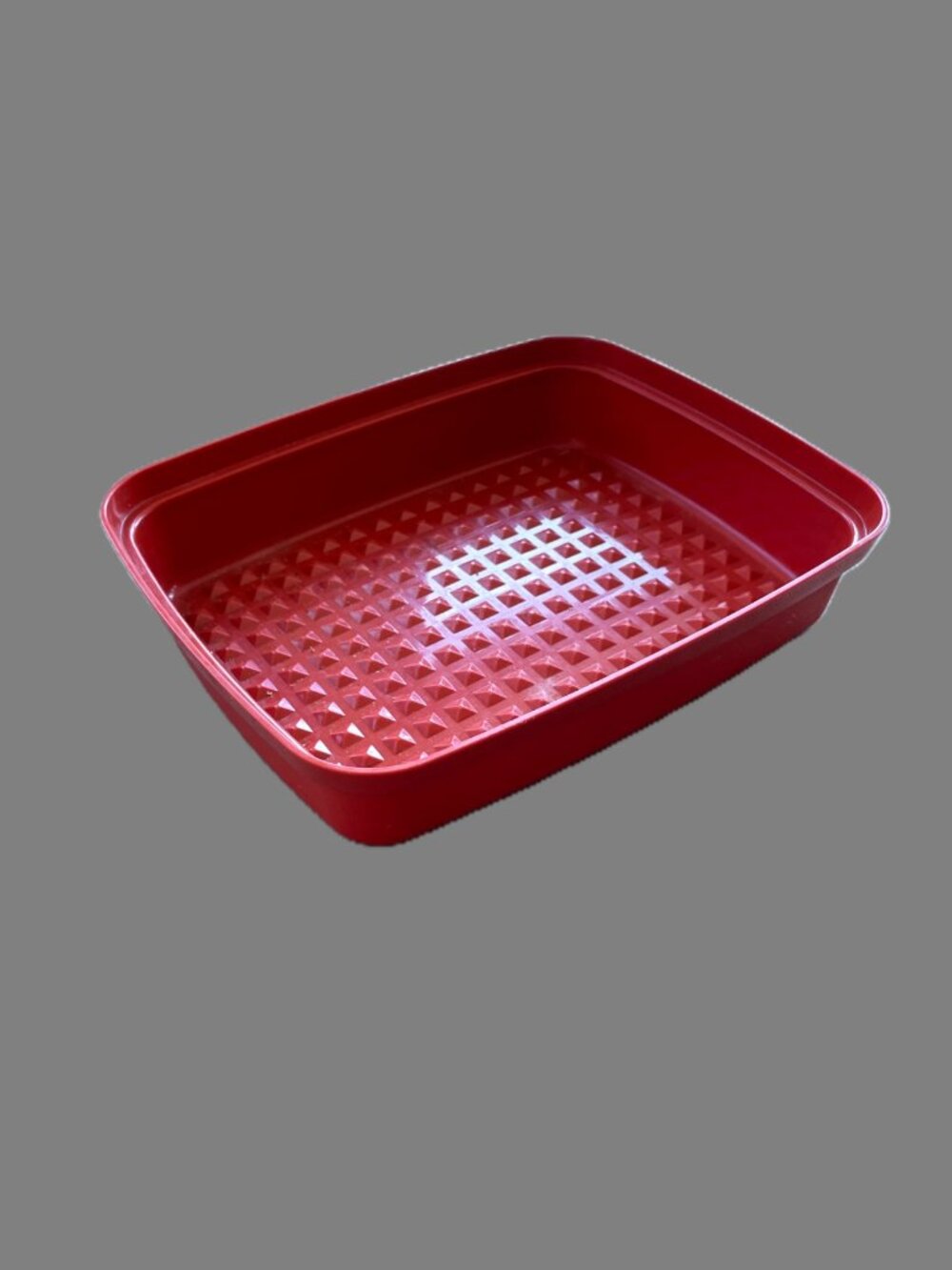 Tupperware Meat Seasoning & Marinade Container (No Lid)
